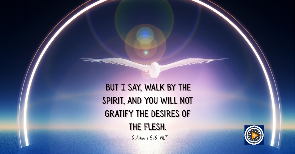 Walking With God Transforms - The Light of Christ Journey