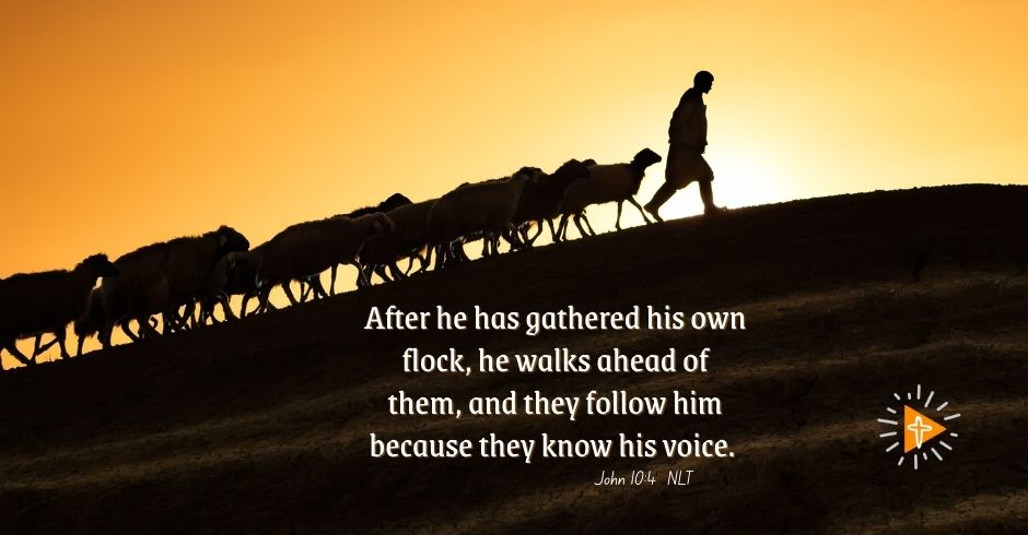 Jesus Goes Ahead of Us - The Light of Christ Journey