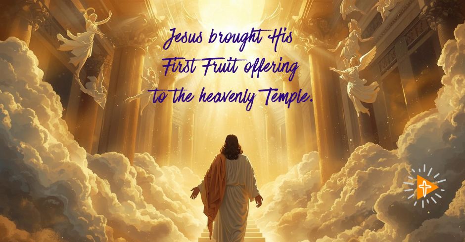 A Puzzling Expression - The Light of Christ Journey